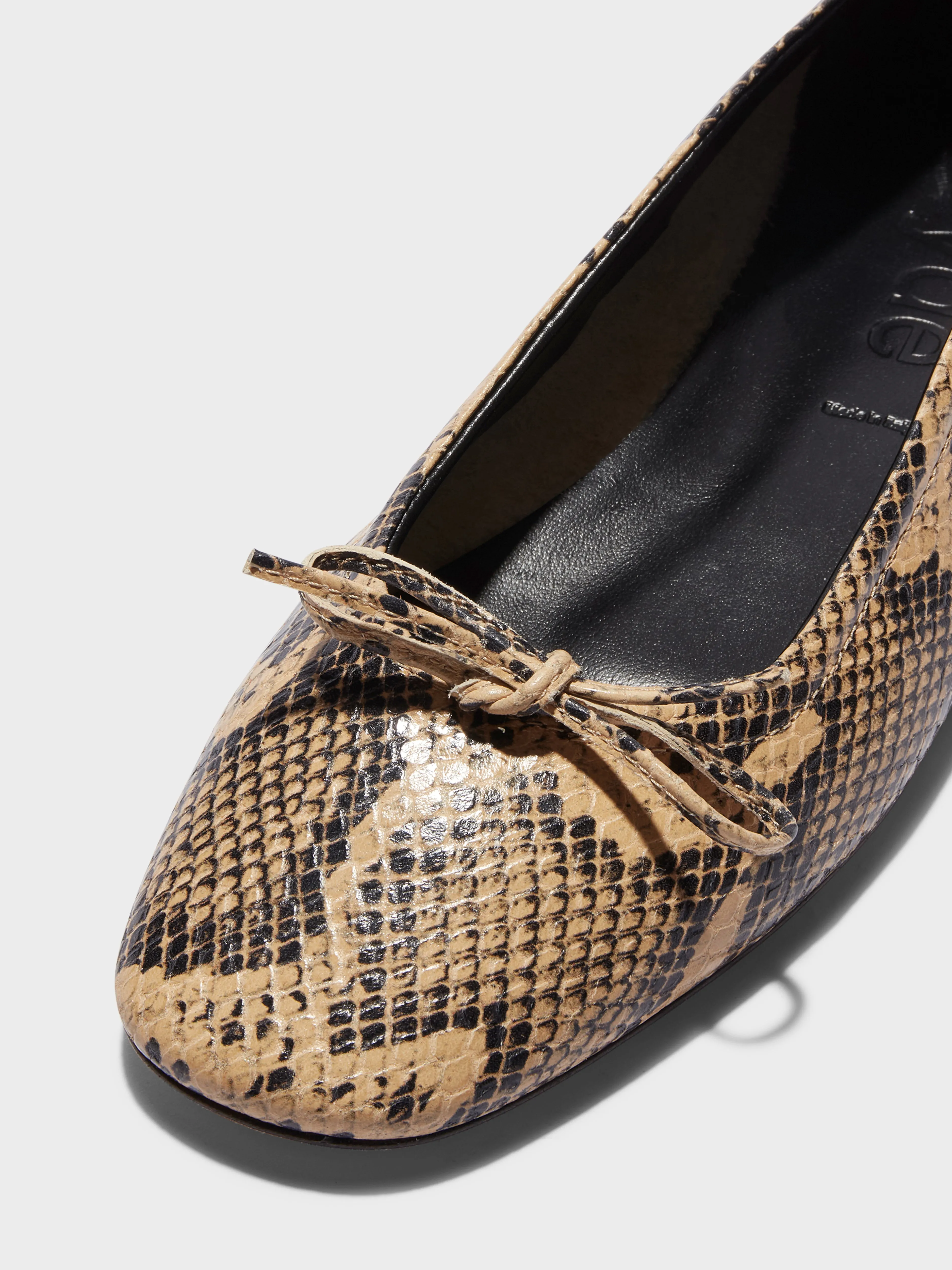 Delfina Leather Ballet Flats